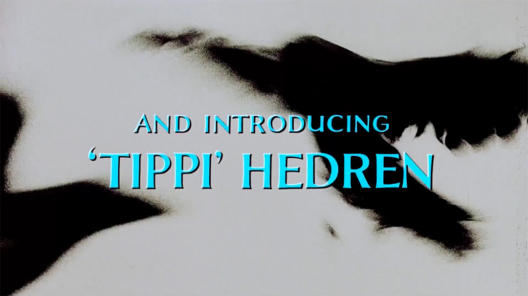 IMAGE: Still – And introducing Tippi clean